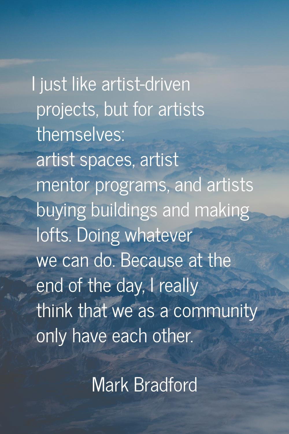 I just like artist-driven projects, but for artists themselves: artist spaces, artist mentor progra