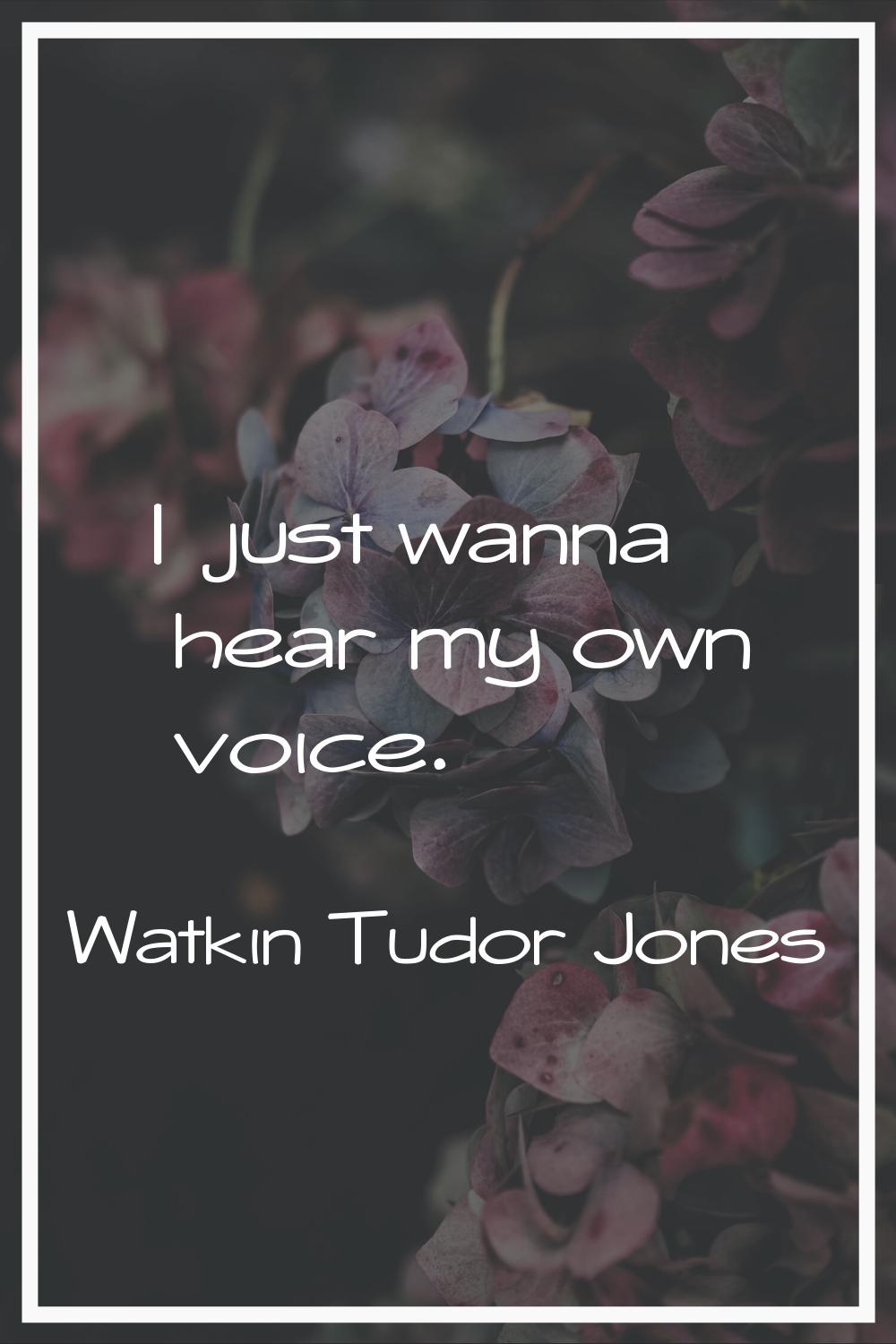 I just wanna hear my own voice.
