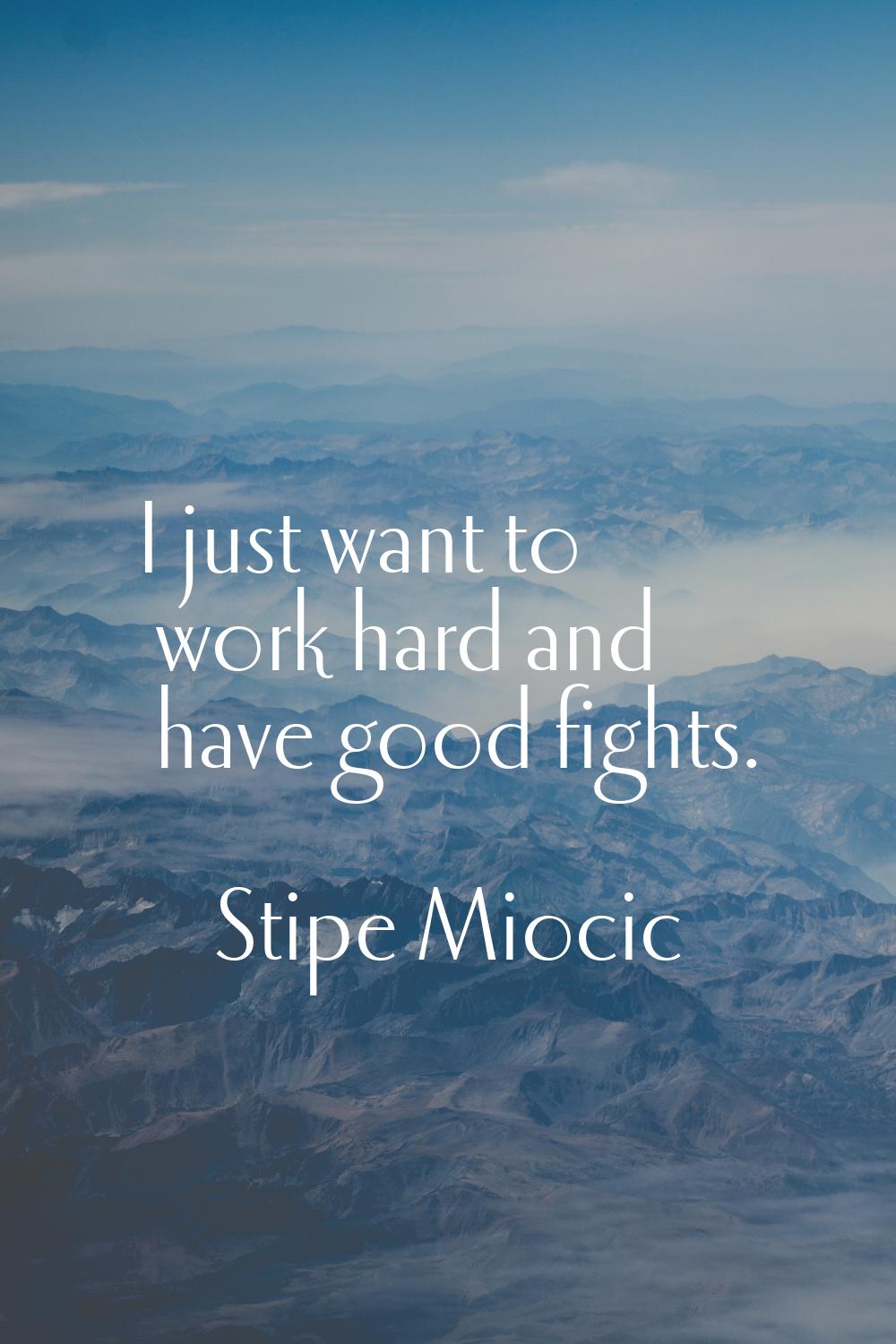 I just want to work hard and have good fights.