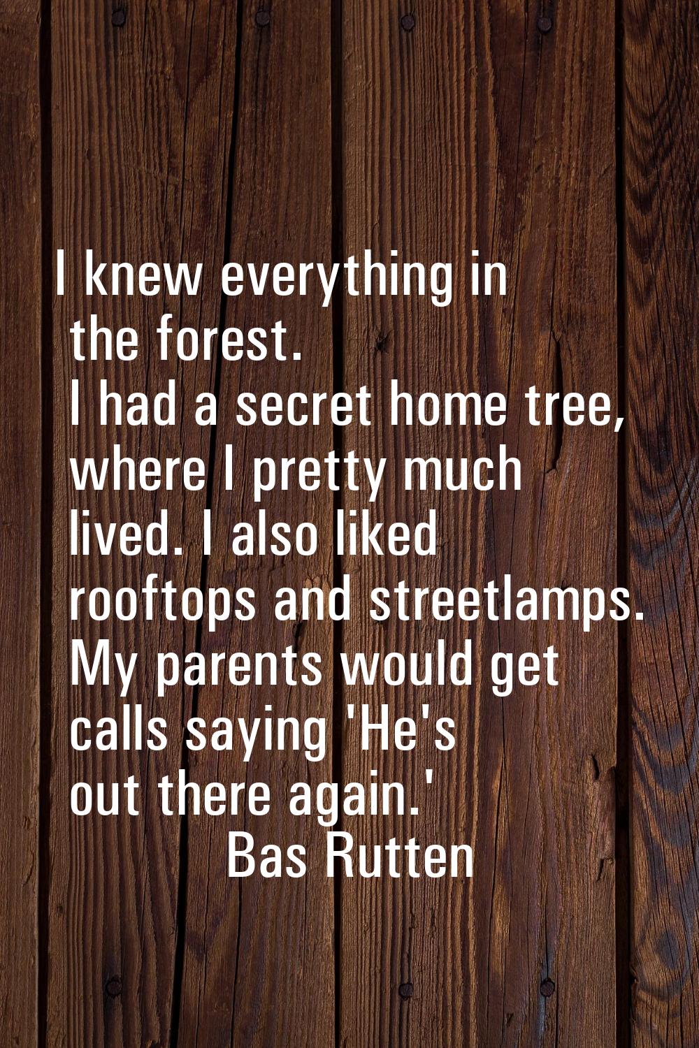 I knew everything in the forest. I had a secret home tree, where I pretty much lived. I also liked 