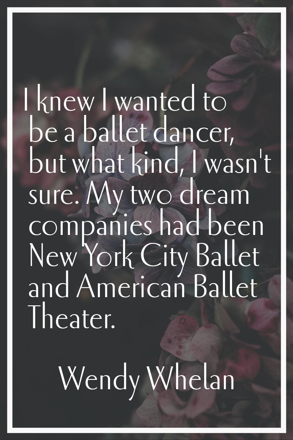 I knew I wanted to be a ballet dancer, but what kind, I wasn't sure. My two dream companies had bee