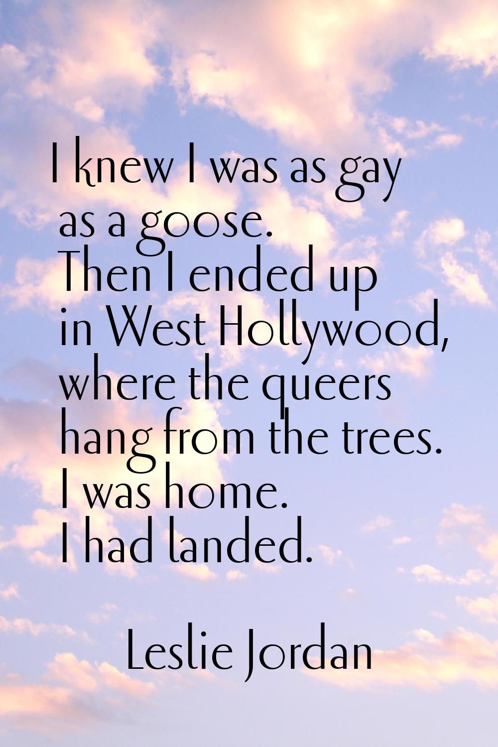 I knew I was as gay as a goose. Then I ended up in West Hollywood, where the queers hang from the t