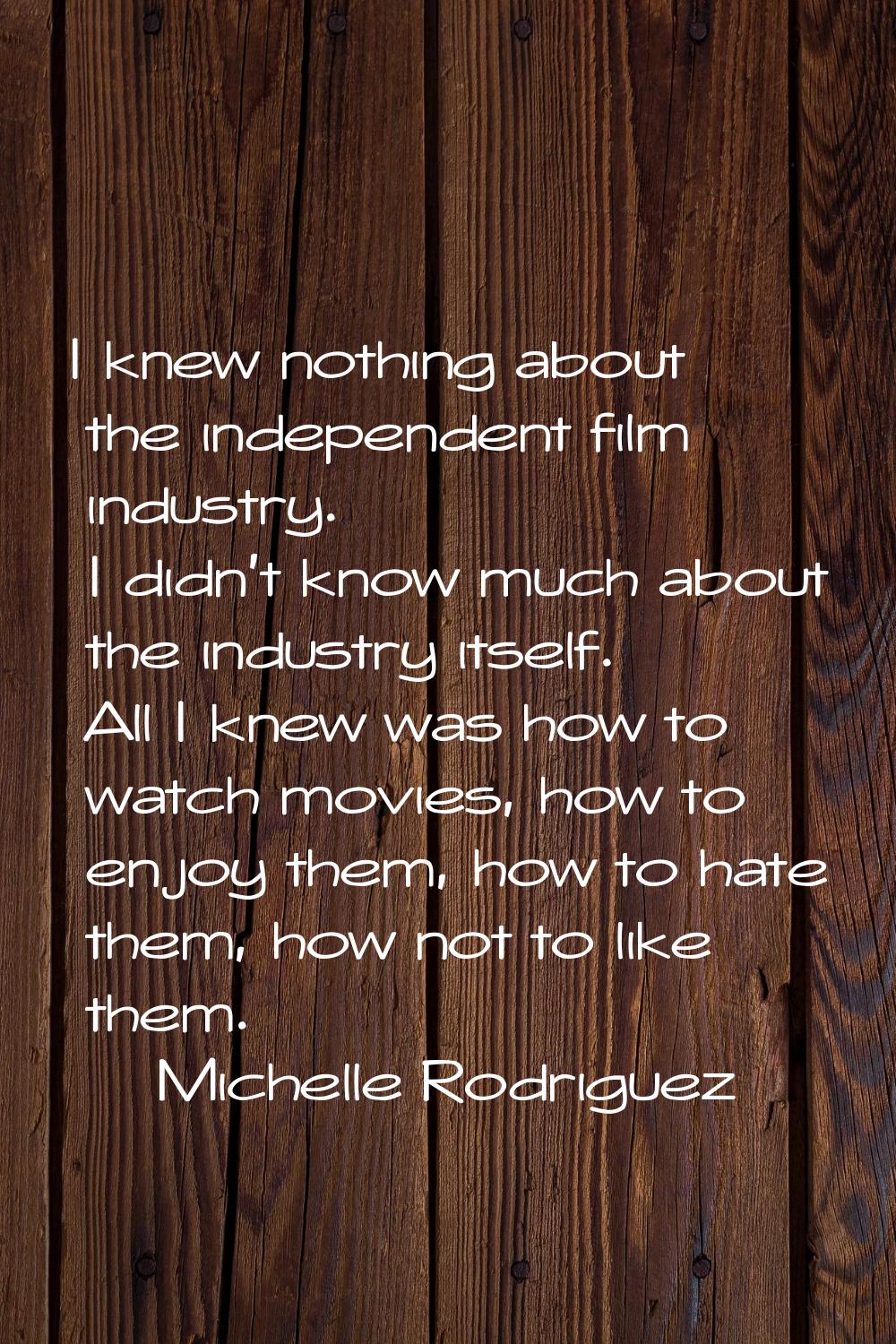 I knew nothing about the independent film industry. I didn't know much about the industry itself. A