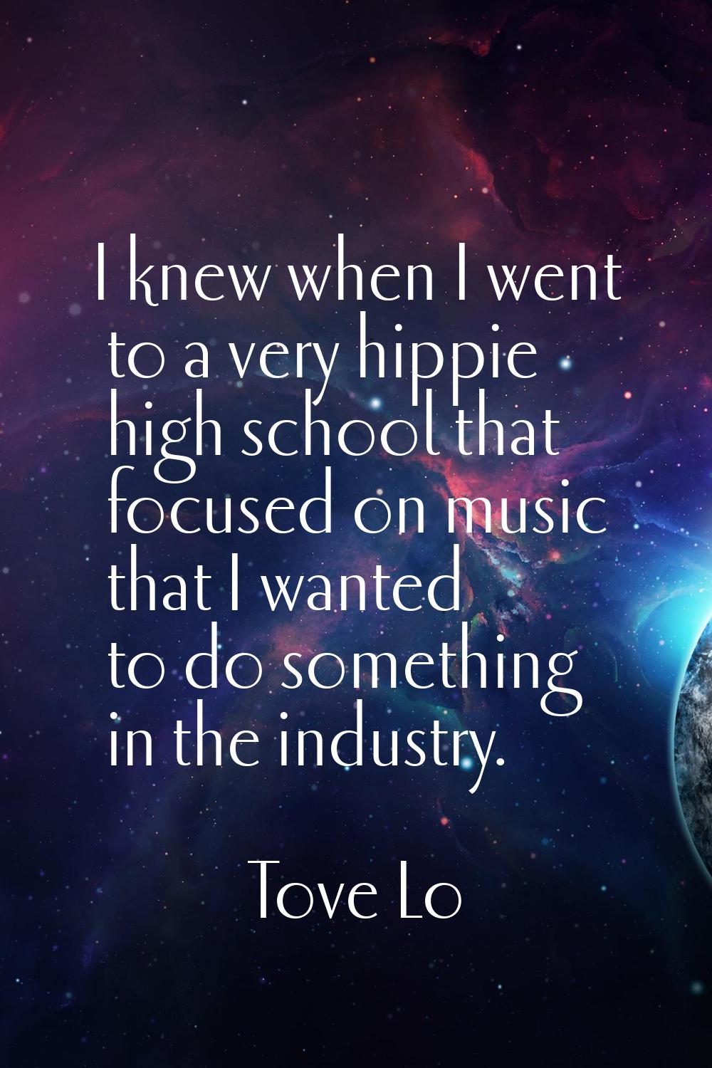 I knew when I went to a very hippie high school that focused on music that I wanted to do something