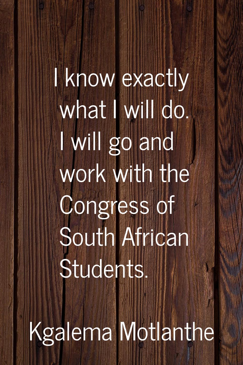 I know exactly what I will do. I will go and work with the Congress of South African Students.