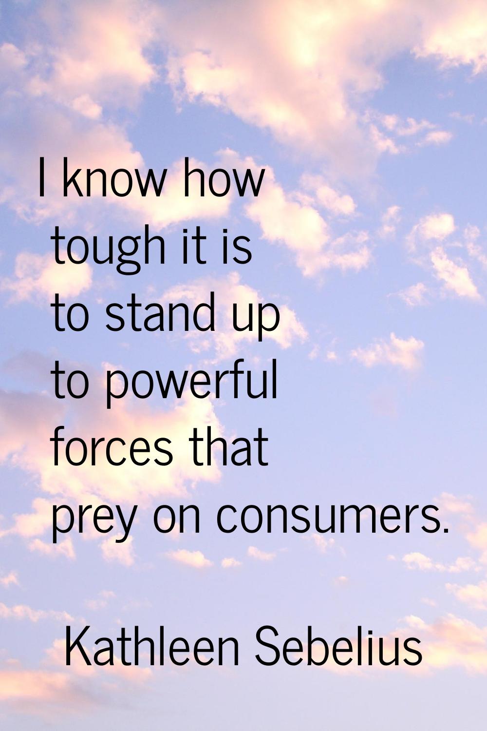 I know how tough it is to stand up to powerful forces that prey on consumers.
