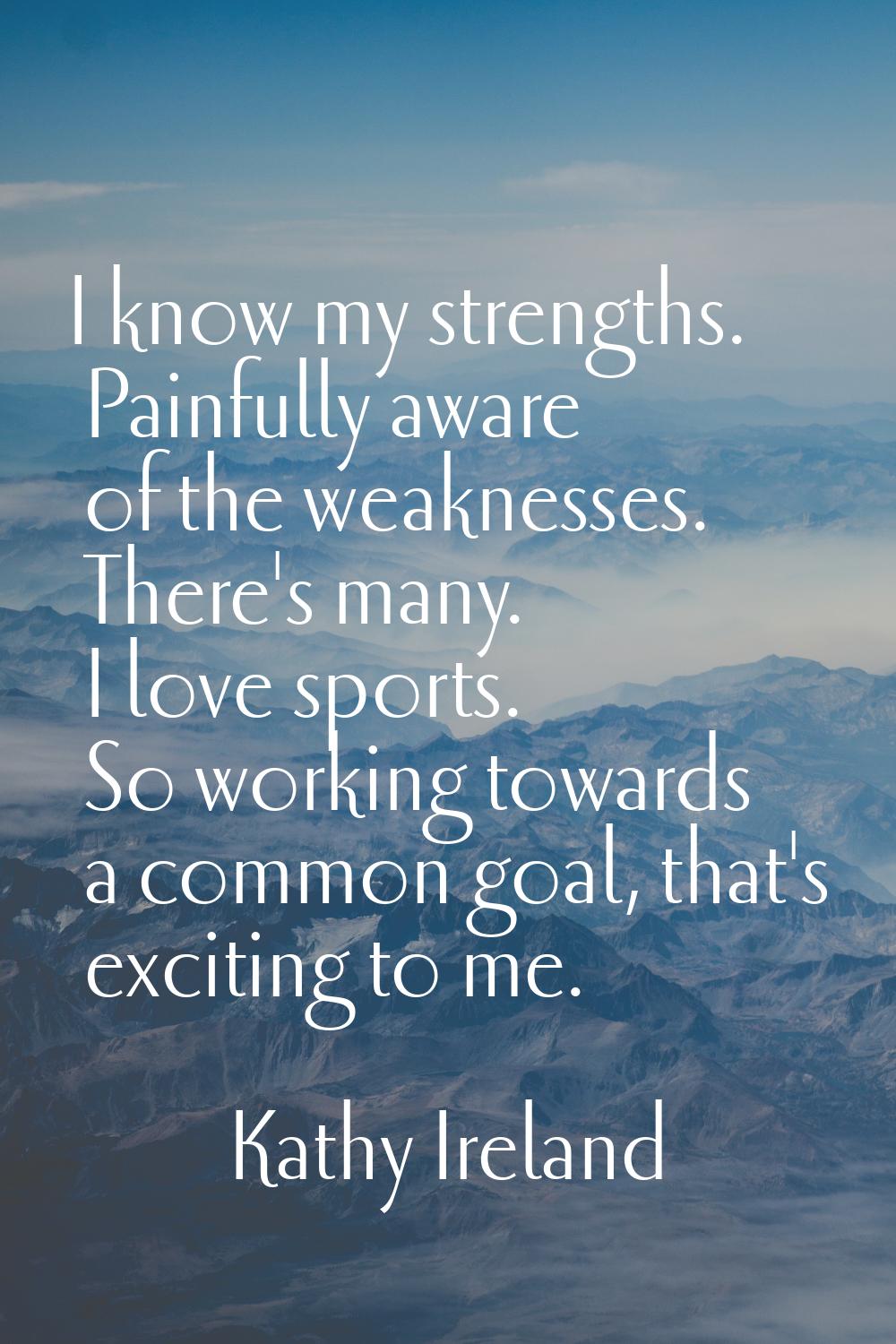 I know my strengths. Painfully aware of the weaknesses. There's many. I love sports. So working tow