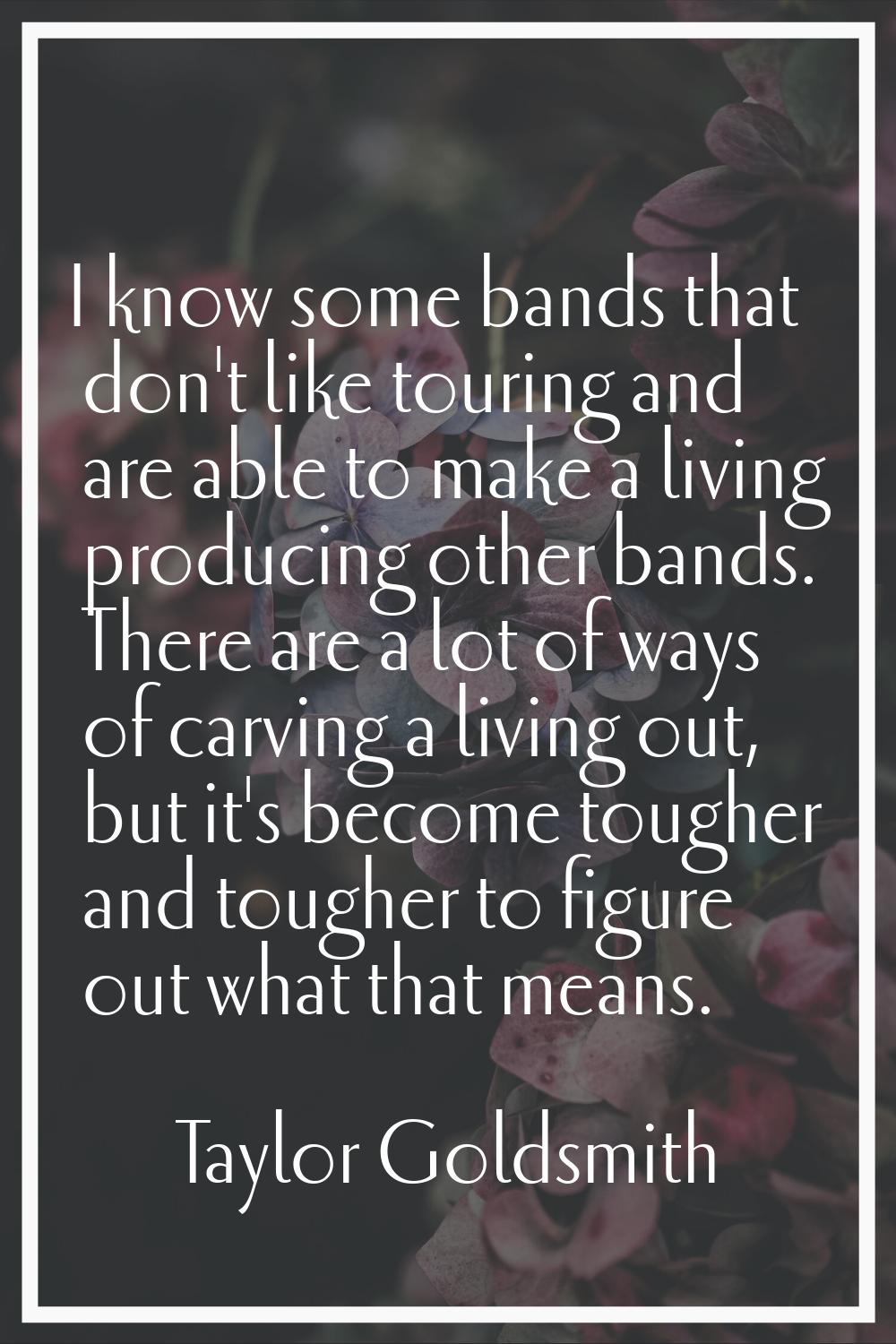 I know some bands that don't like touring and are able to make a living producing other bands. Ther
