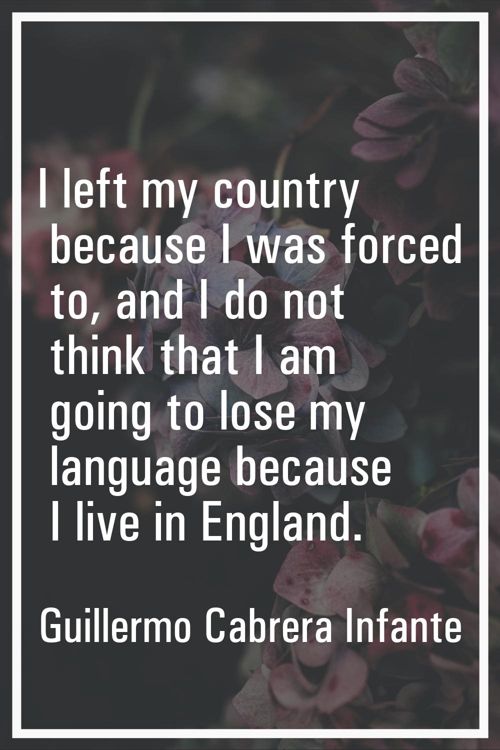 I left my country because I was forced to, and I do not think that I am going to lose my language b