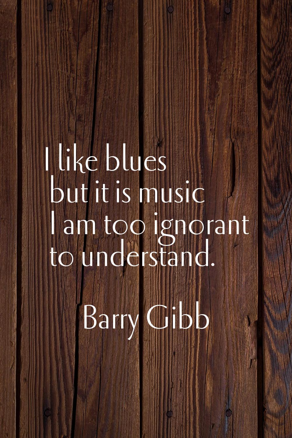 I like blues but it is music I am too ignorant to understand.