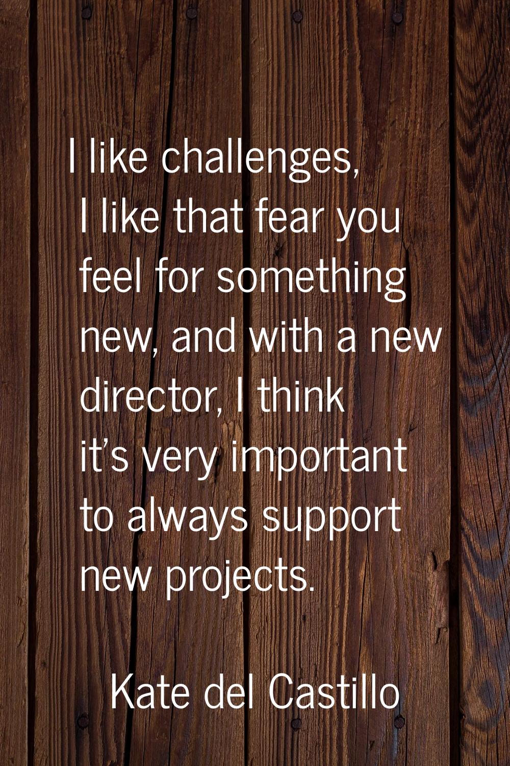 I like challenges, I like that fear you feel for something new, and with a new director, I think it