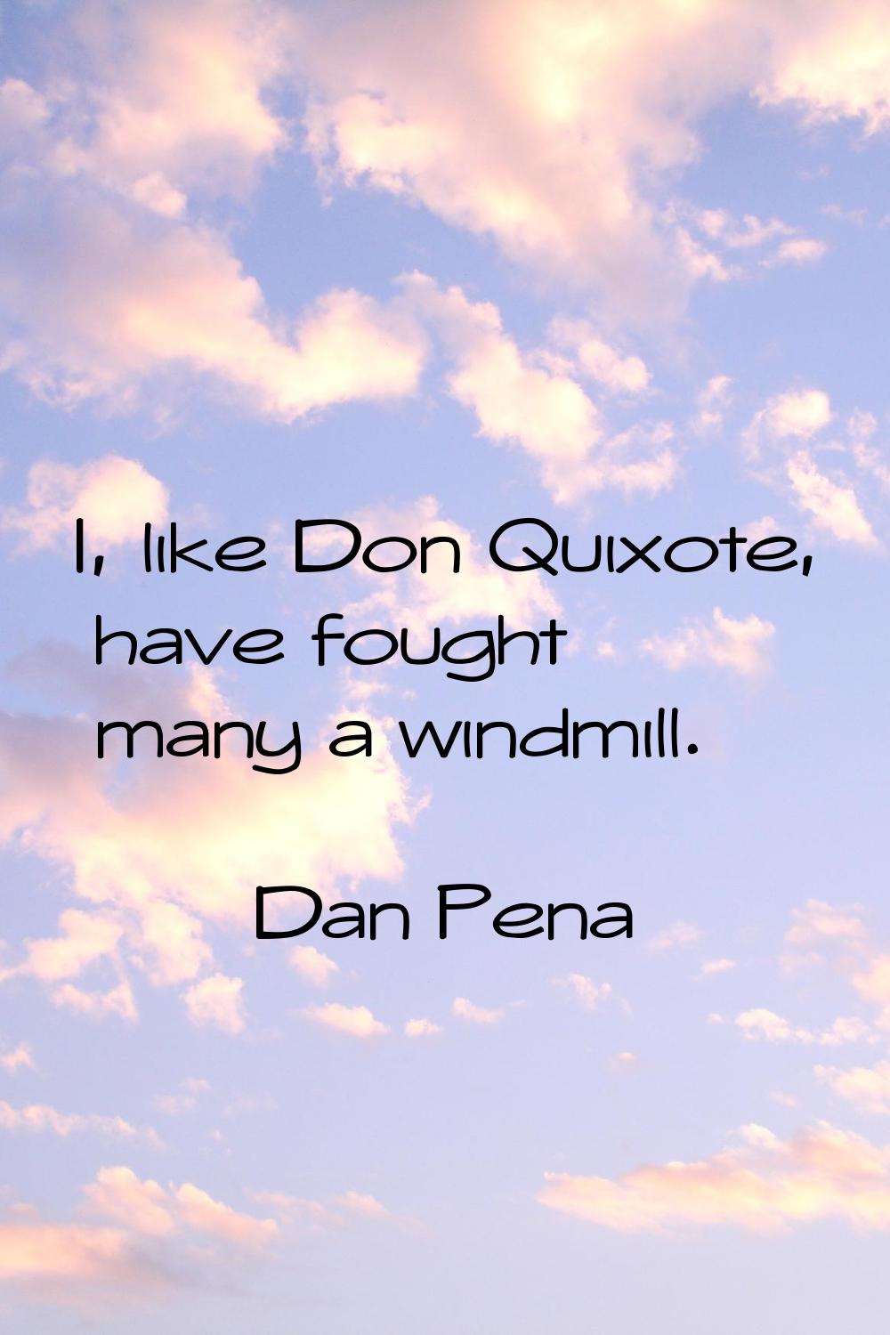 I, like Don Quixote, have fought many a windmill.