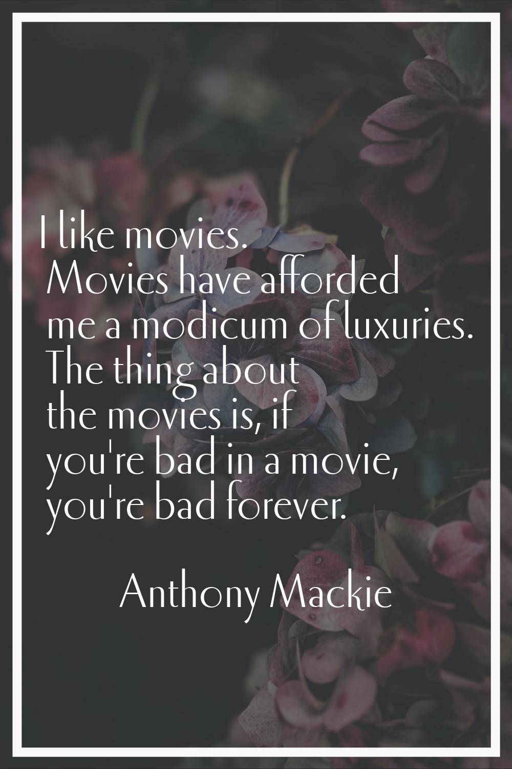 I like movies. Movies have afforded me a modicum of luxuries. The thing about the movies is, if you