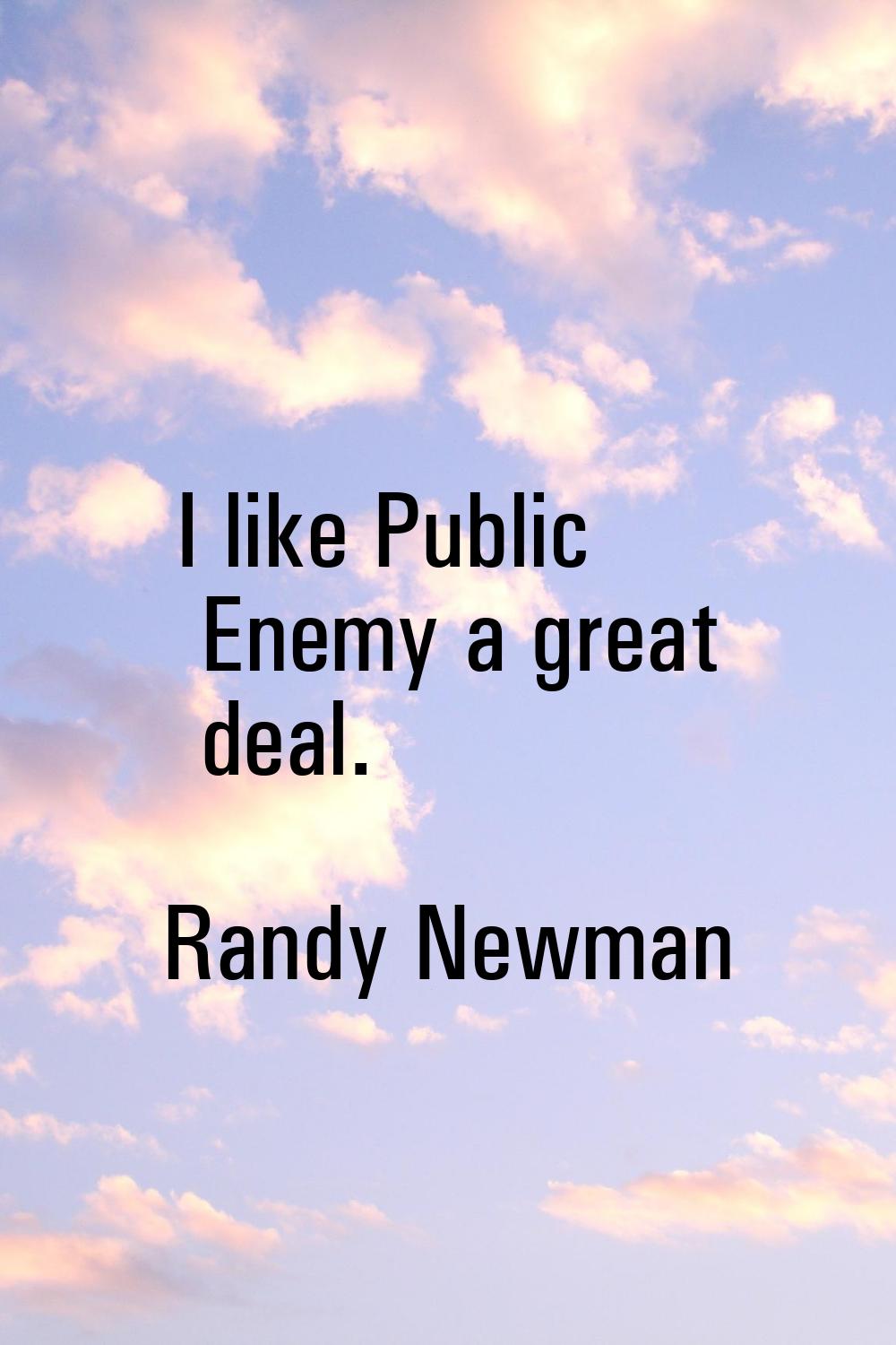 I like Public Enemy a great deal.