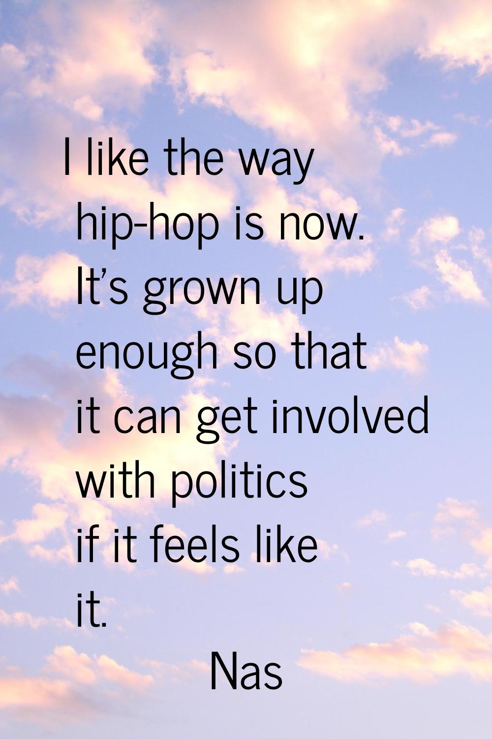I like the way hip-hop is now. It's grown up enough so that it can get involved with politics if it