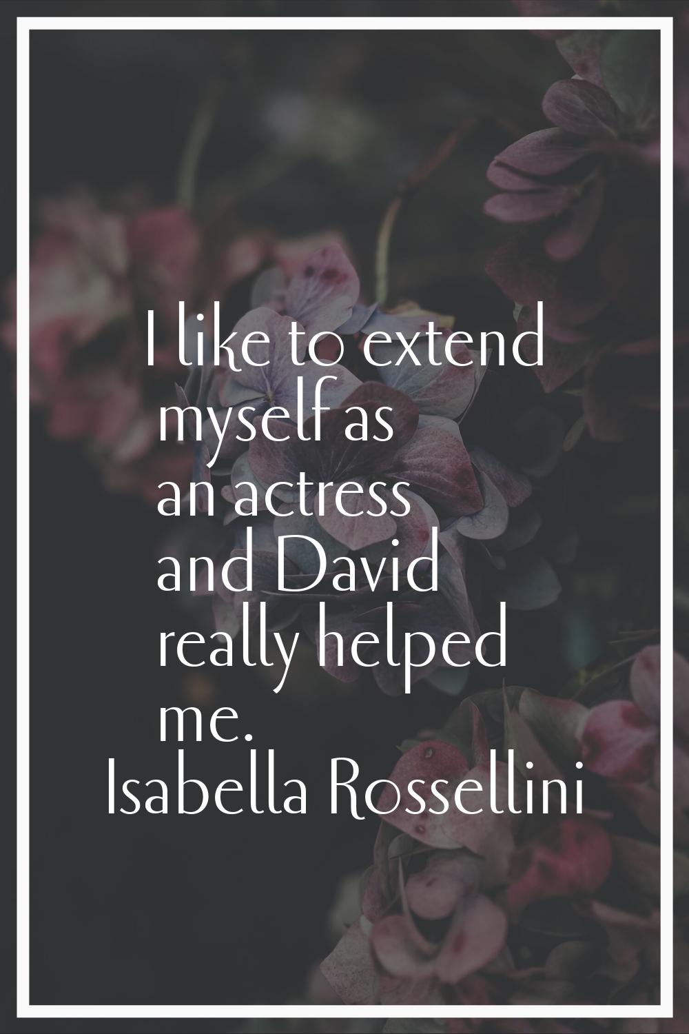 I like to extend myself as an actress and David really helped me.