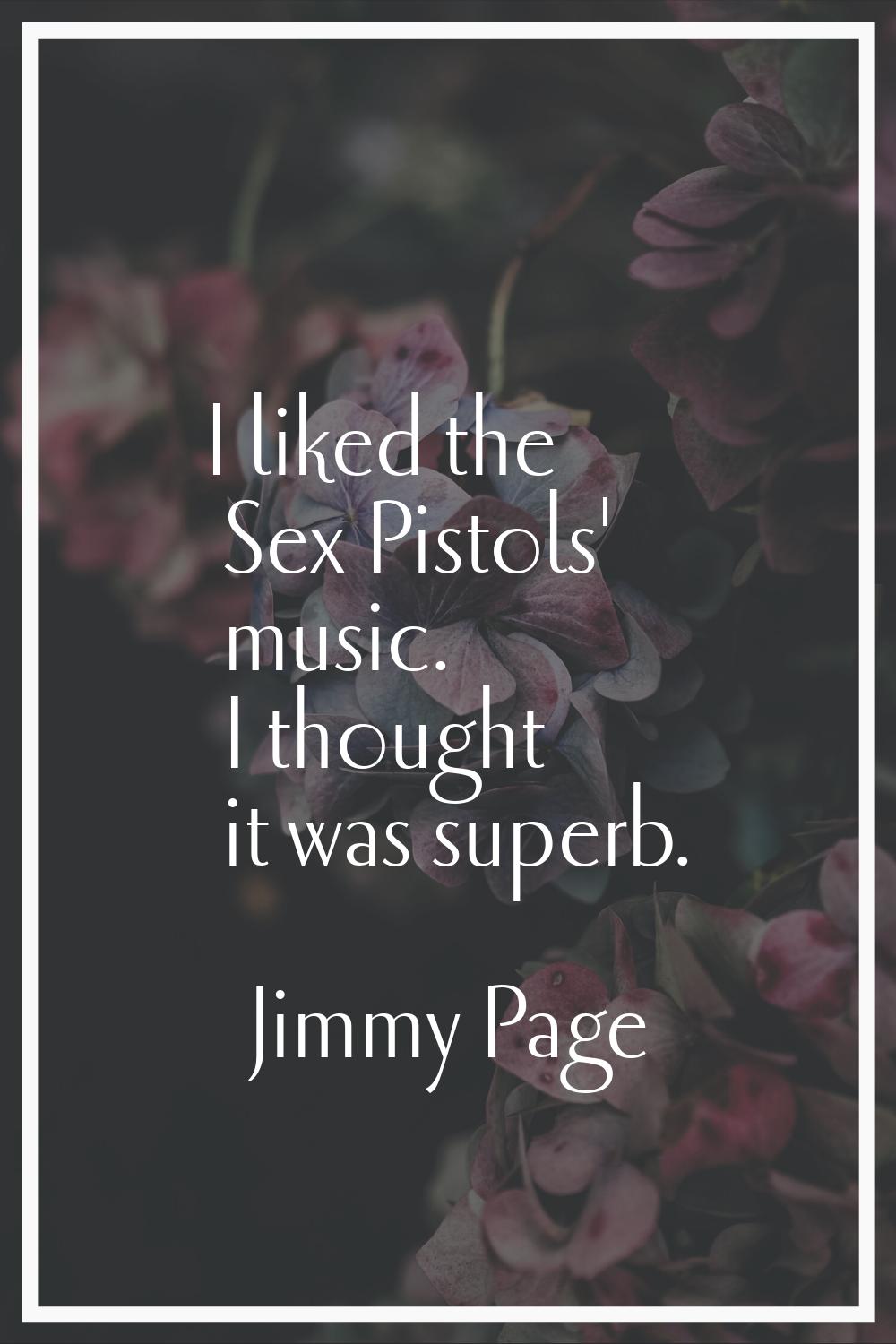 I liked the Sex Pistols' music. I thought it was superb.
