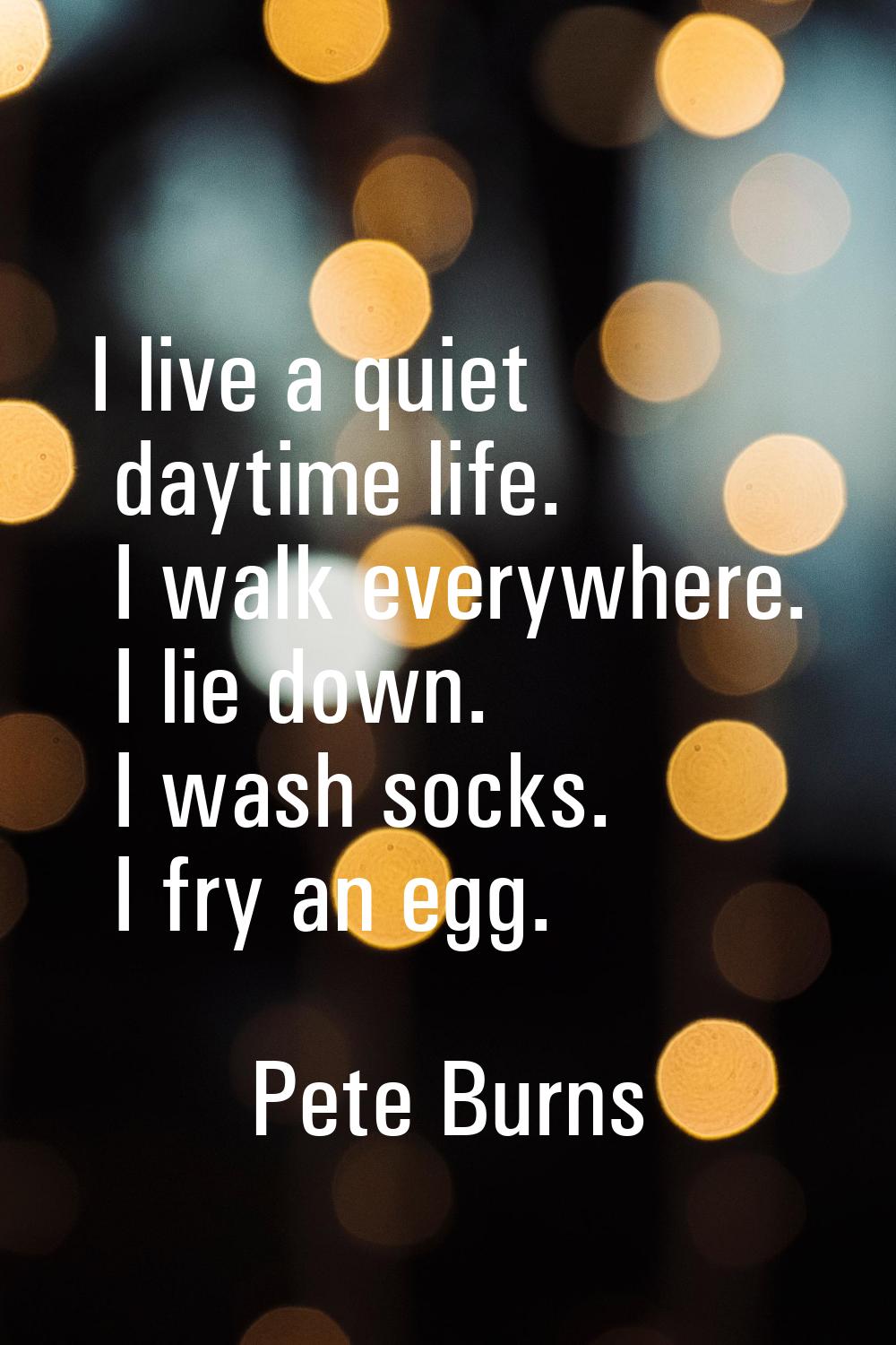 I live a quiet daytime life. I walk everywhere. I lie down. I wash socks. I fry an egg.