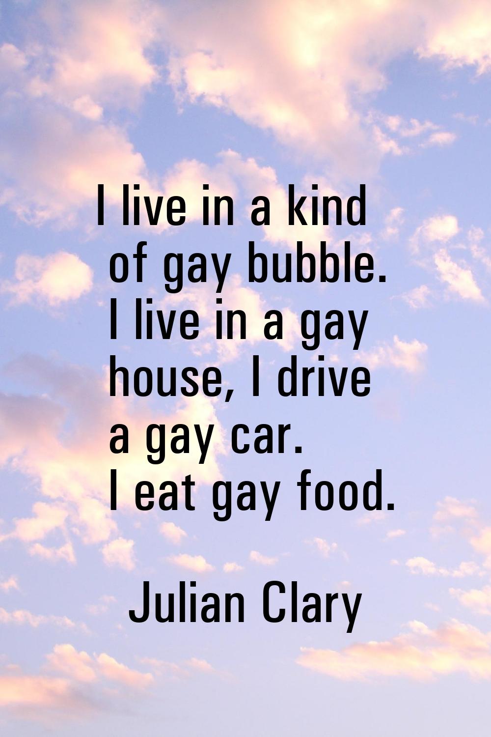 I live in a kind of gay bubble. I live in a gay house, I drive a gay car. I eat gay food.