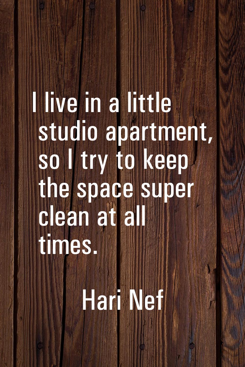 I live in a little studio apartment, so I try to keep the space super clean at all times.