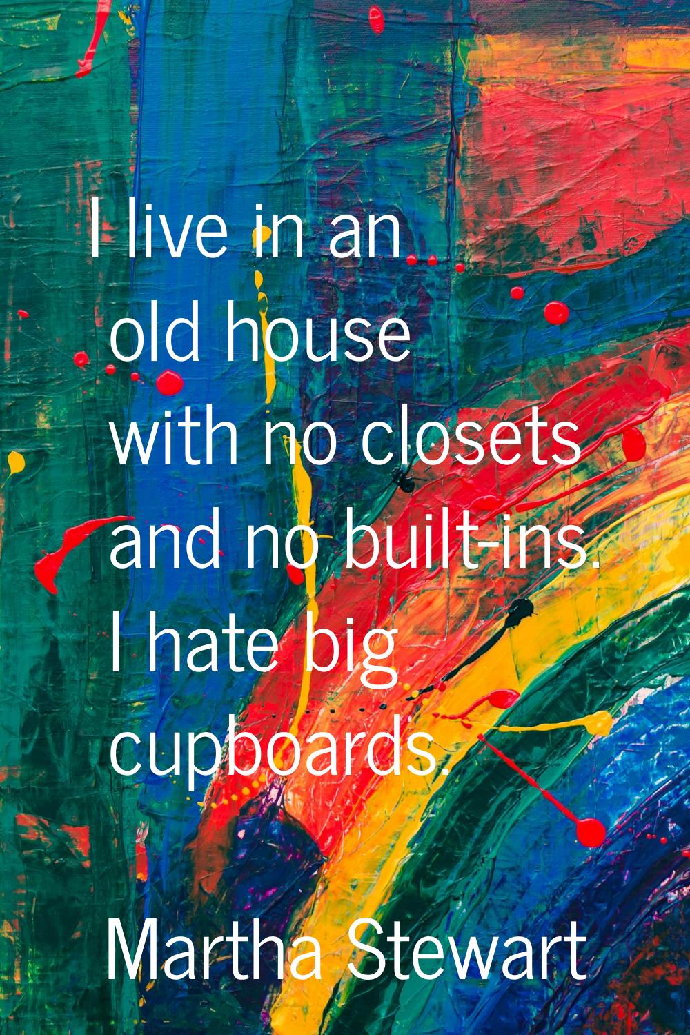 I live in an old house with no closets and no built-ins. I hate big cupboards.