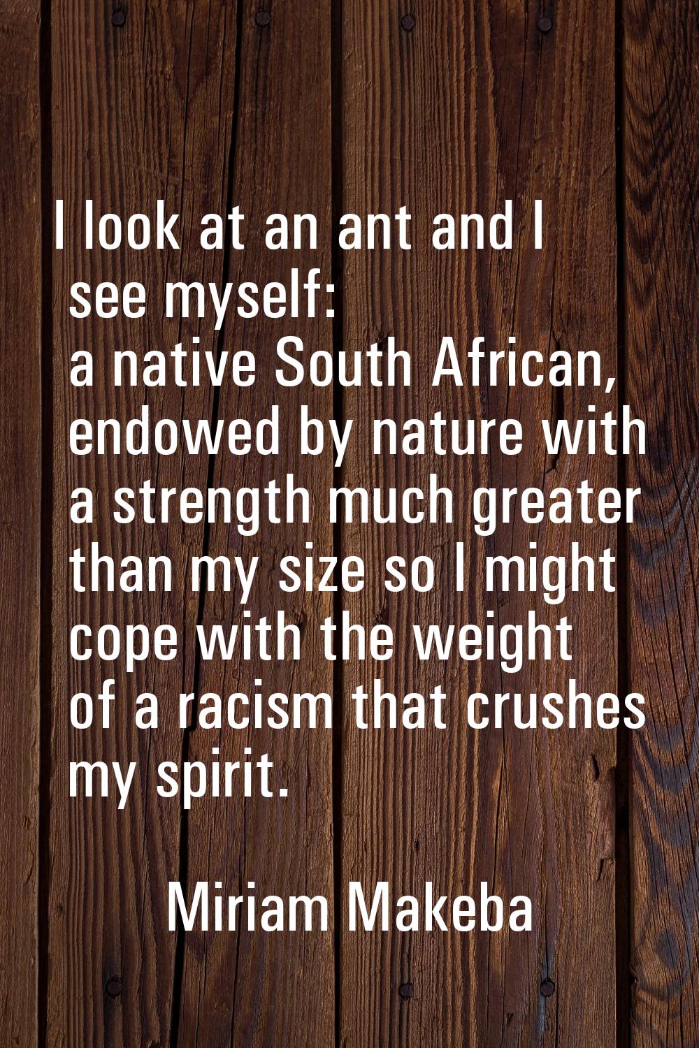 I look at an ant and I see myself: a native South African, endowed by nature with a strength much g