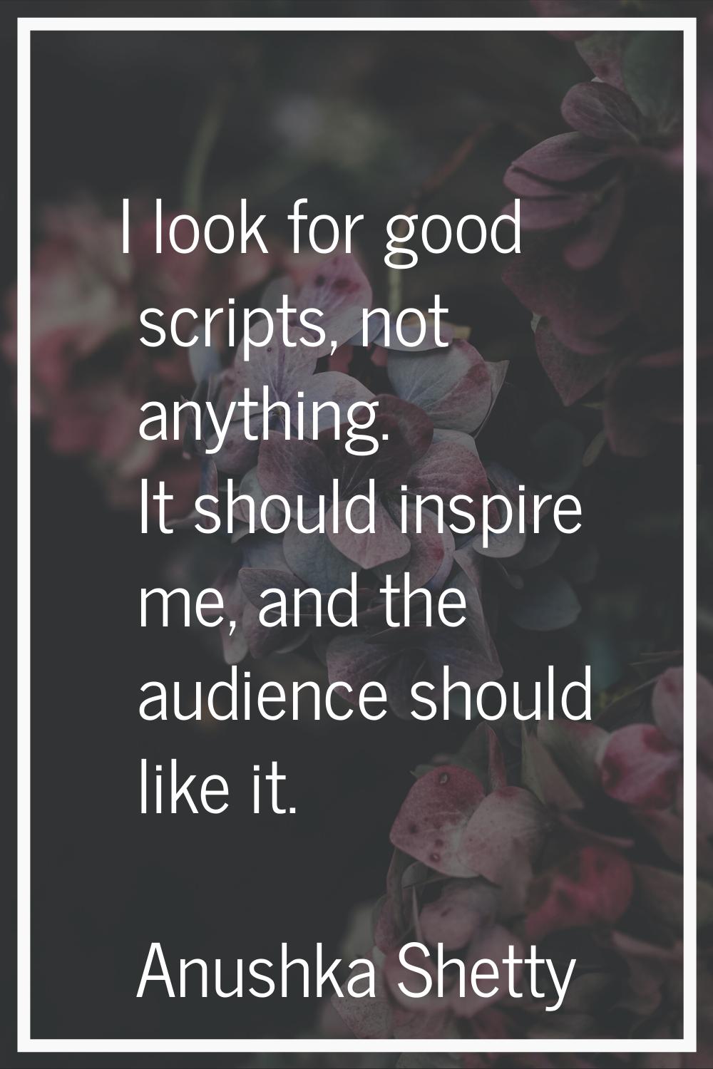 I look for good scripts, not anything. It should inspire me, and the audience should like it.