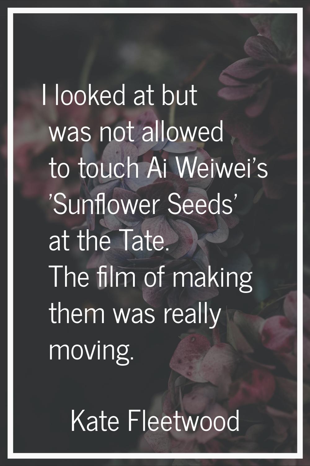 I looked at but was not allowed to touch Ai Weiwei's 'Sunflower Seeds' at the Tate. The film of mak
