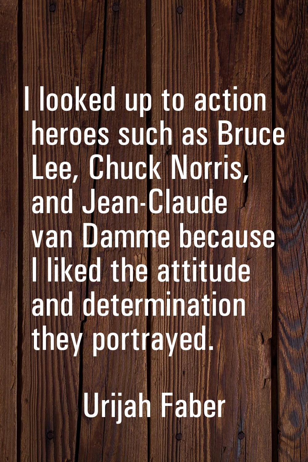 I looked up to action heroes such as Bruce Lee, Chuck Norris, and Jean-Claude van Damme because I l