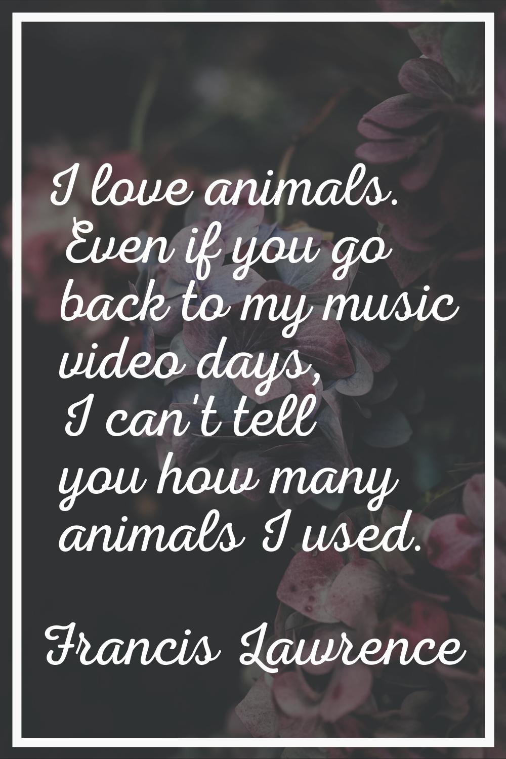 I love animals. Even if you go back to my music video days, I can't tell you how many animals I use