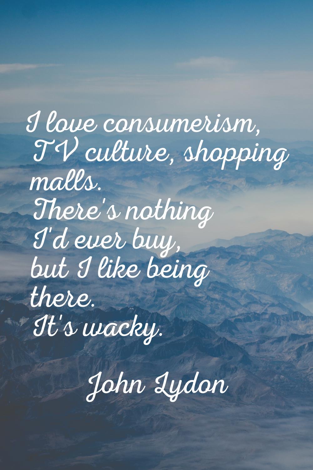 I love consumerism, TV culture, shopping malls. There's nothing I'd ever buy, but I like being ther