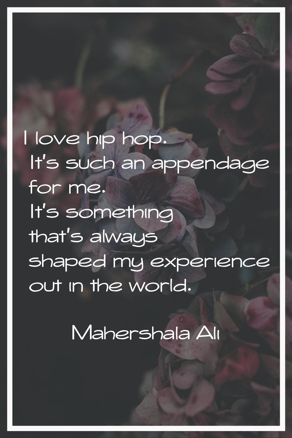 I love hip hop. It's such an appendage for me. It's something that's always shaped my experience ou
