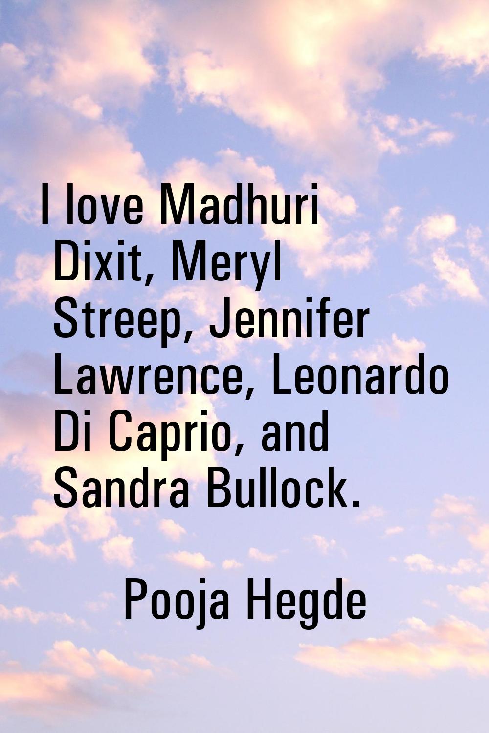 I love Madhuri Dixit, Meryl Streep, Jennifer Lawrence, Leonardo Di Caprio, and Sandra Bullock.