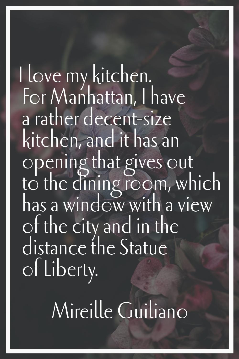 I love my kitchen. For Manhattan, I have a rather decent-size kitchen, and it has an opening that g