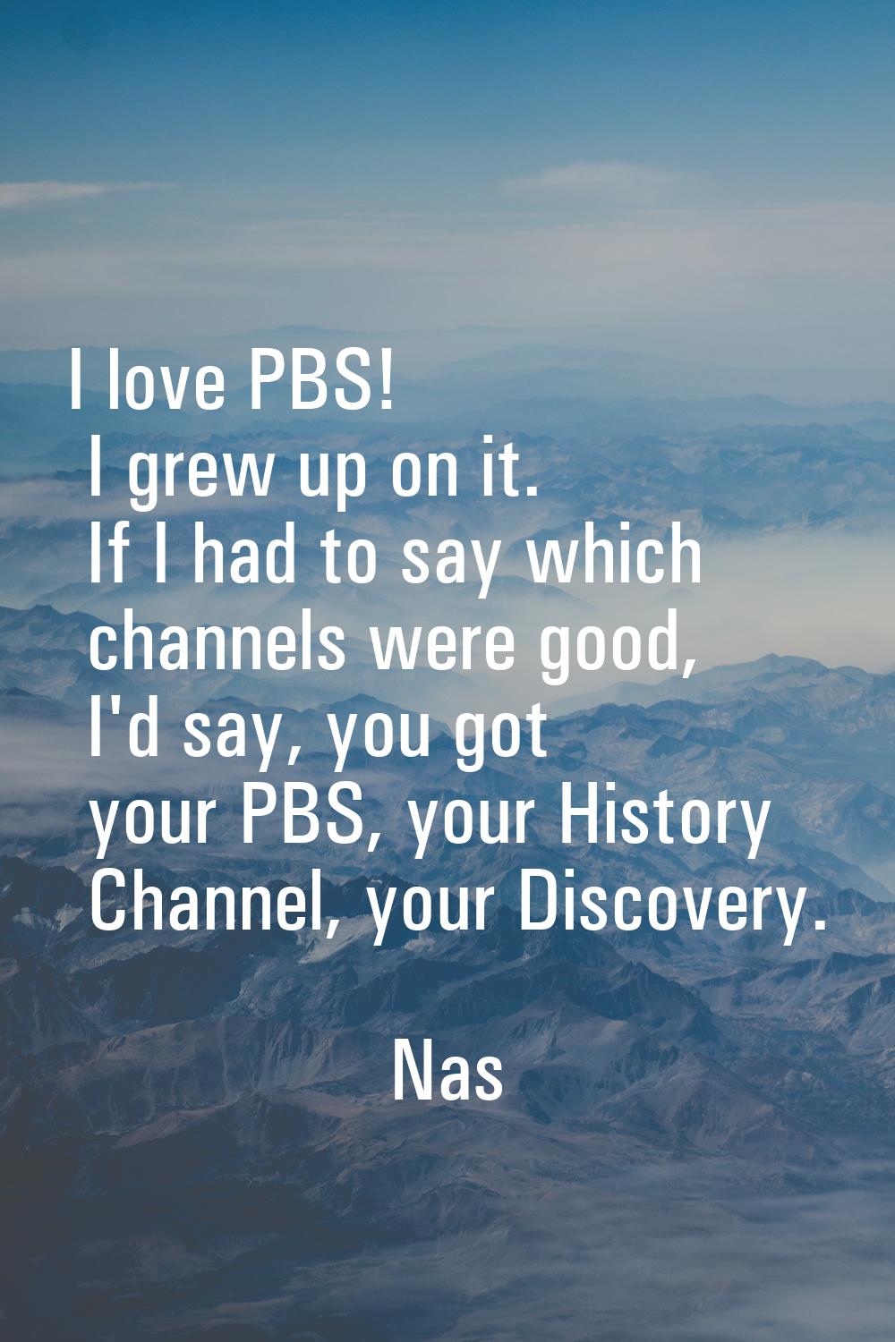 I love PBS! I grew up on it. If I had to say which channels were good, I'd say, you got your PBS, y