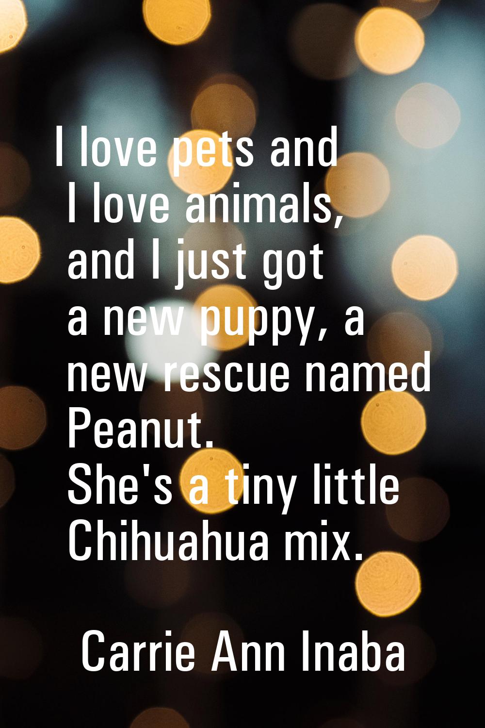I love pets and I love animals, and I just got a new puppy, a new rescue named Peanut. She's a tiny