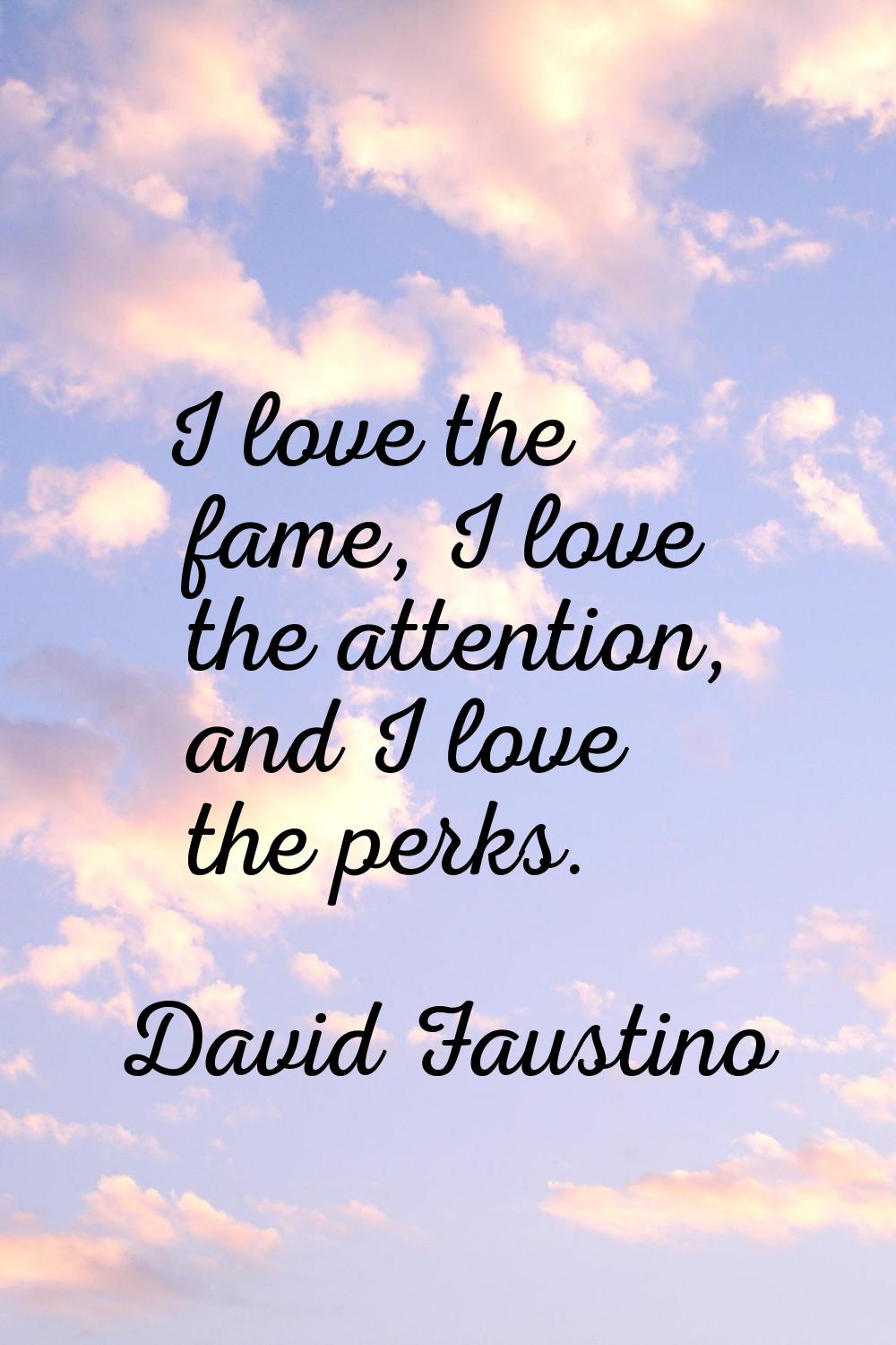 I love the fame, I love the attention, and I love the perks.