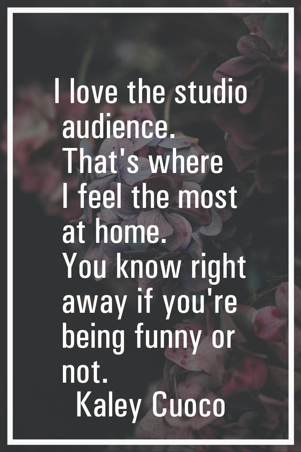 I love the studio audience. That's where I feel the most at home. You know right away if you're bei