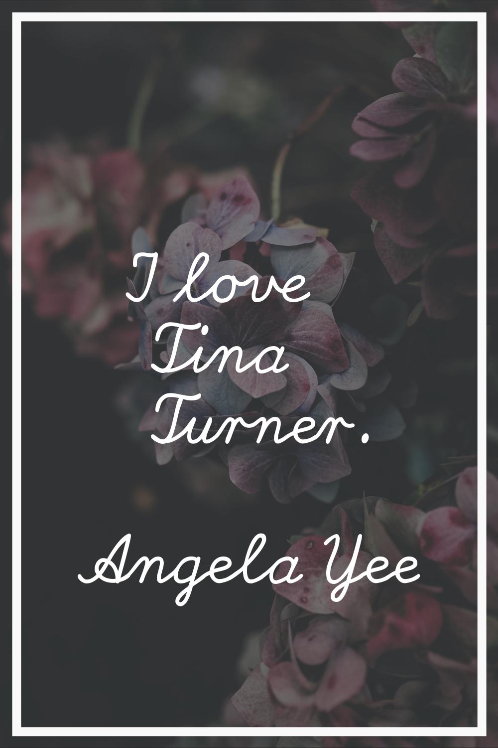 I love Tina Turner.