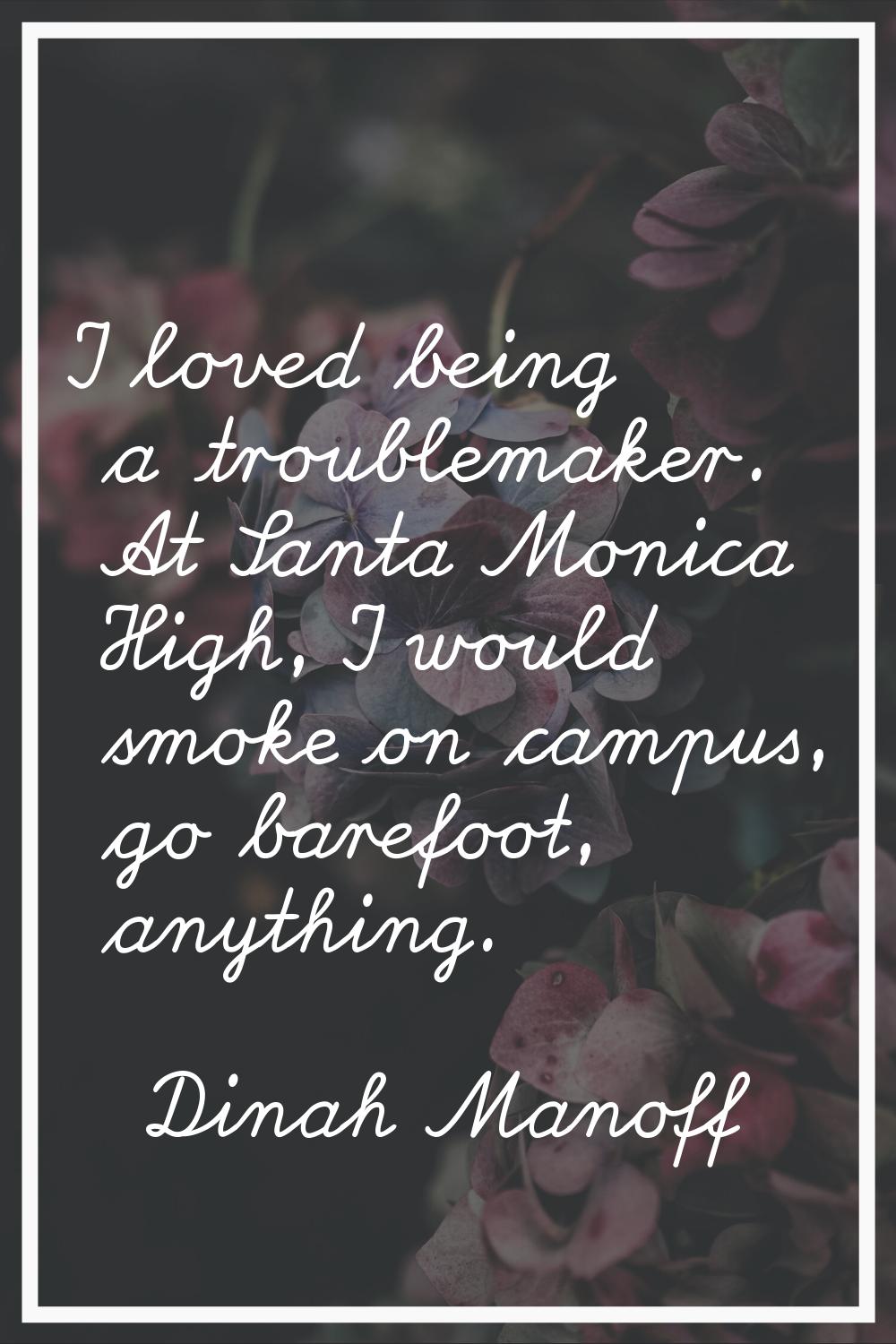 I loved being a troublemaker. At Santa Monica High, I would smoke on campus, go barefoot, anything.