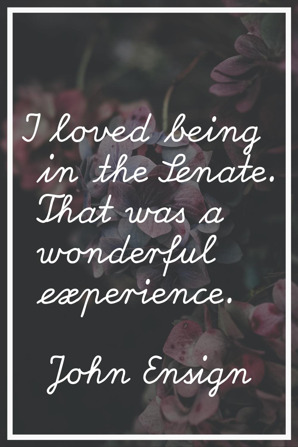 I loved being in the Senate. That was a wonderful experience.