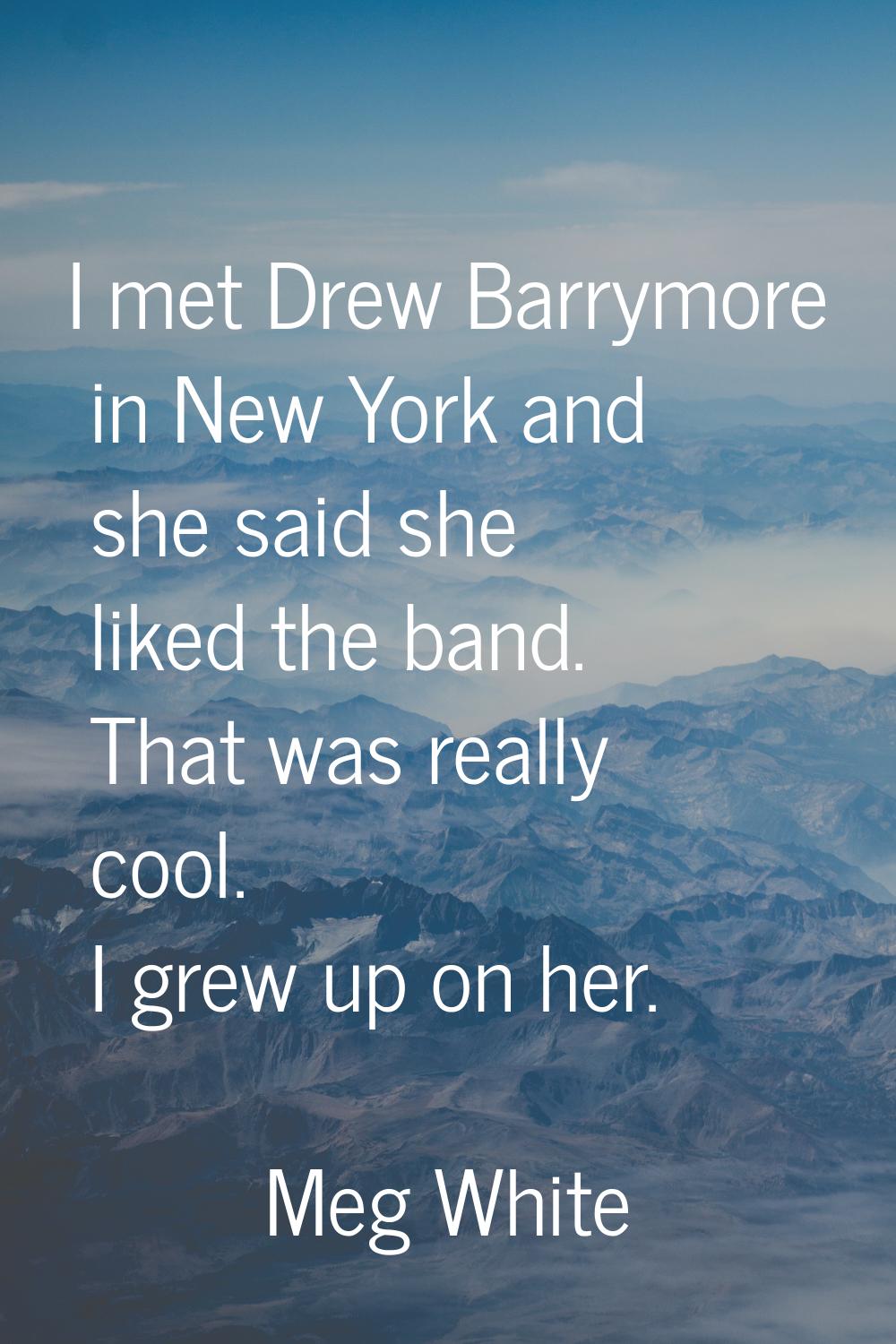 I met Drew Barrymore in New York and she said she liked the band. That was really cool. I grew up o
