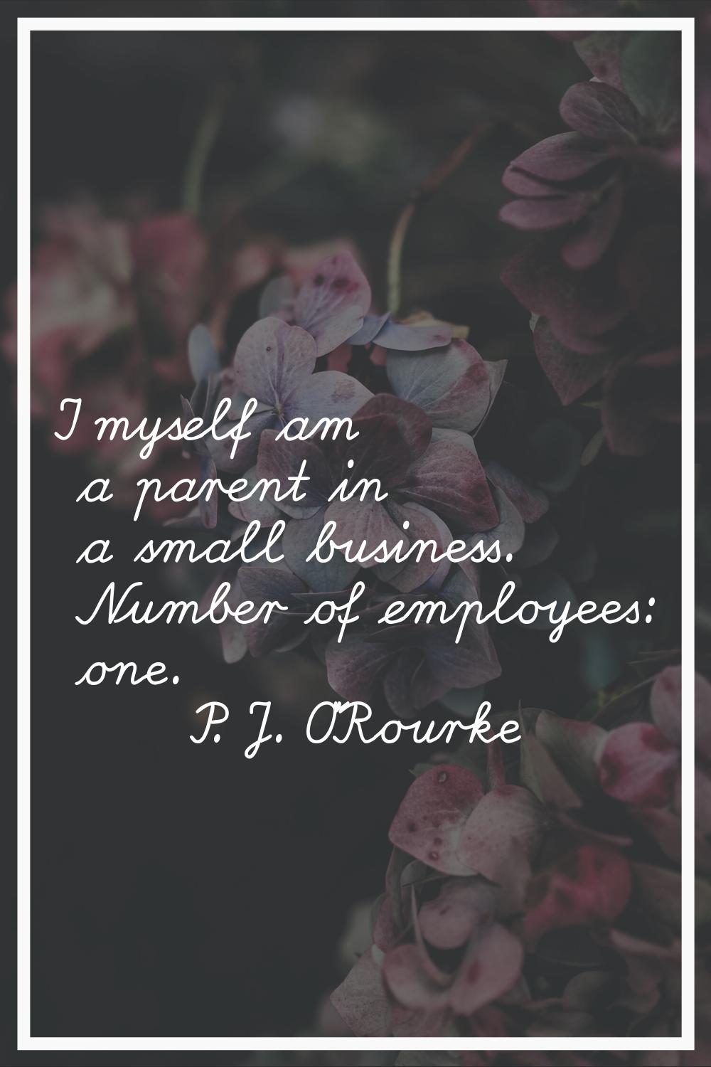 I myself am a parent in a small business. Number of employees: one.