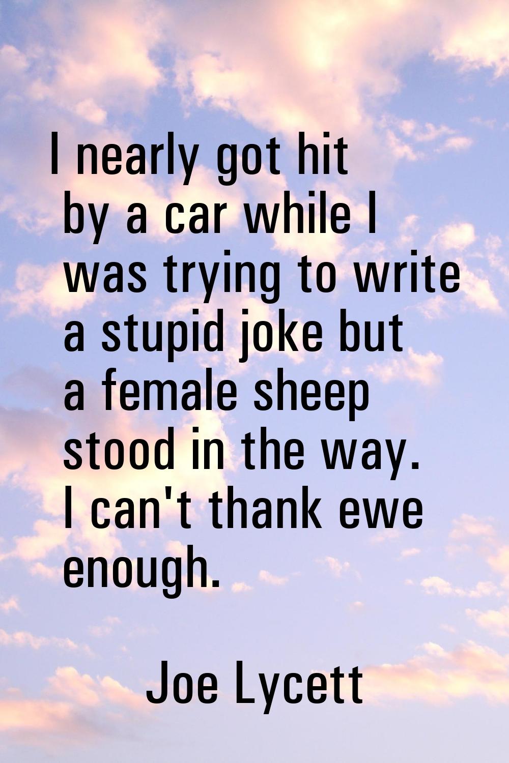I nearly got hit by a car while I was trying to write a stupid joke but a female sheep stood in the