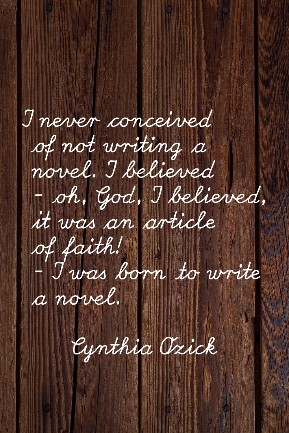 I never conceived of not writing a novel. I believed - oh, God, I believed, it was an article of fa