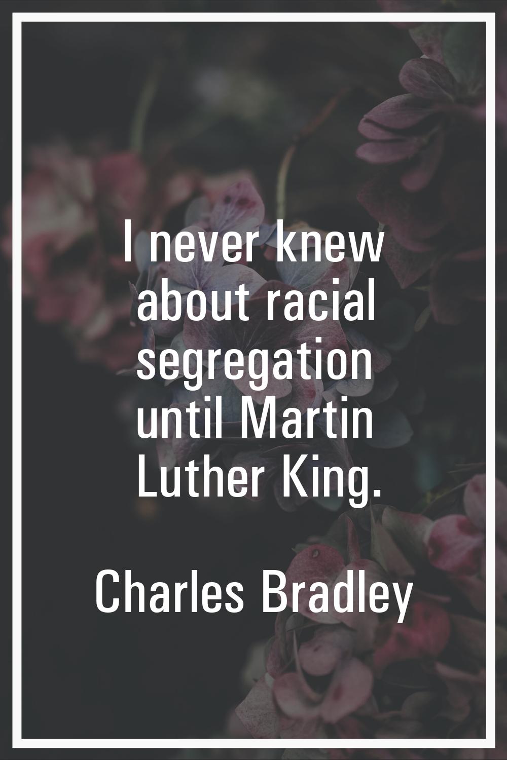 I never knew about racial segregation until Martin Luther King.