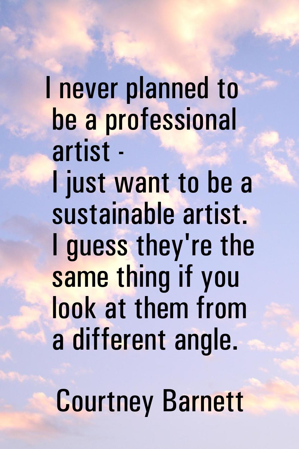 I never planned to be a professional artist - I just want to be a sustainable artist. I guess they'