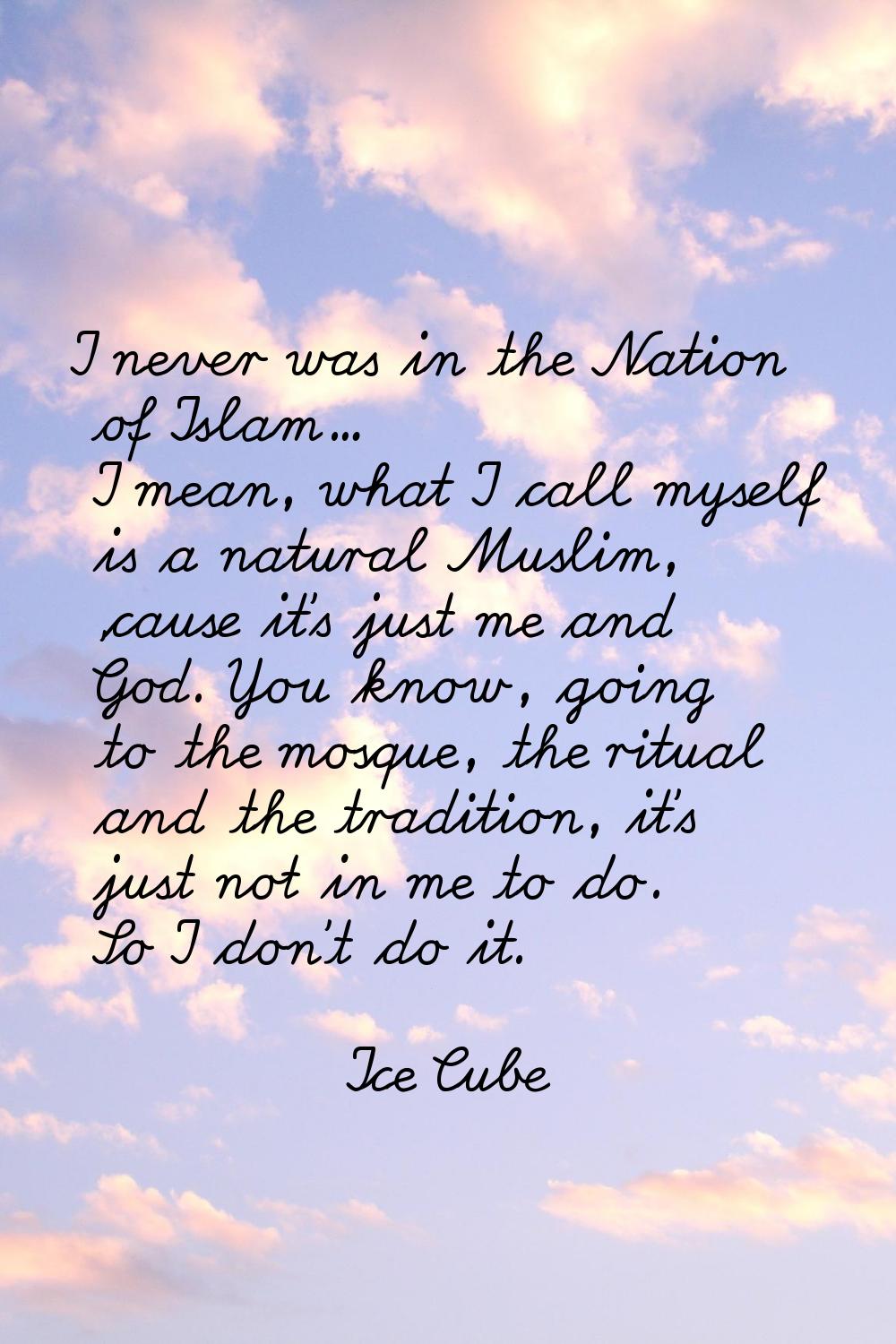 I never was in the Nation of Islam... I mean, what I call myself is a natural Muslim, 'cause it's j