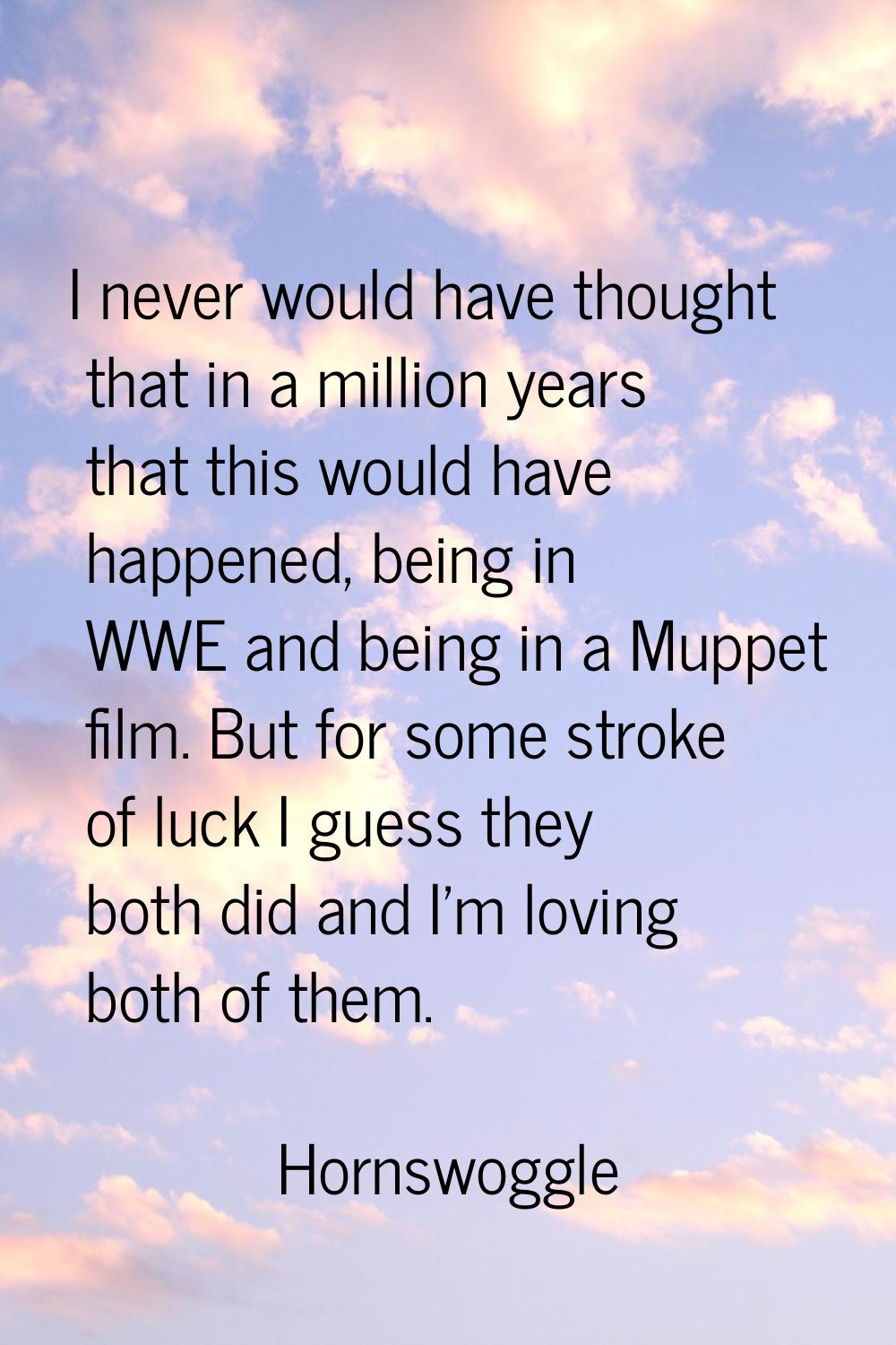 I never would have thought that in a million years that this would have happened, being in WWE and 