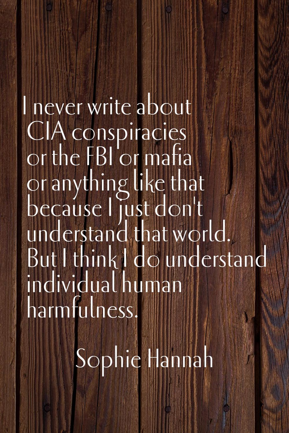 I never write about CIA conspiracies or the FBI or mafia or anything like that because I just don't